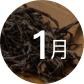 1月新品