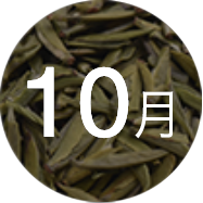 10Ʒ