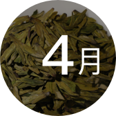 4月新品