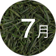 7Ʒ